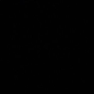 Meet your Posher, Abigail